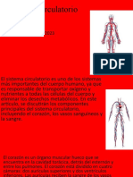 Sistema Circulaturio