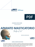 Aparato Masticatorio Fisio