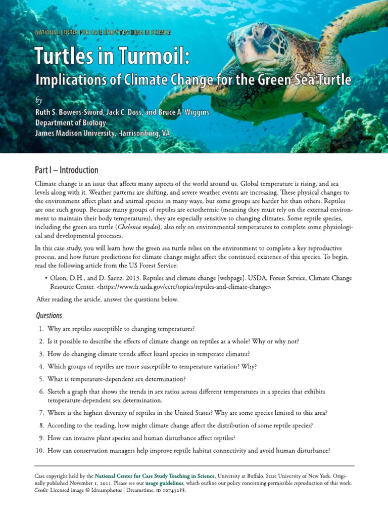 Case Study For ES (Summer 2023) - Turtles in Turmoil | PDF