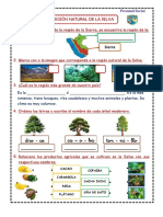 Dro - Ce Tor - Ni - Llo Ca - o - Ba: La Región Natural de La Selva