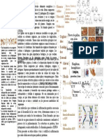 Actividad 2.2 Composición Química de Los Seres Vivos