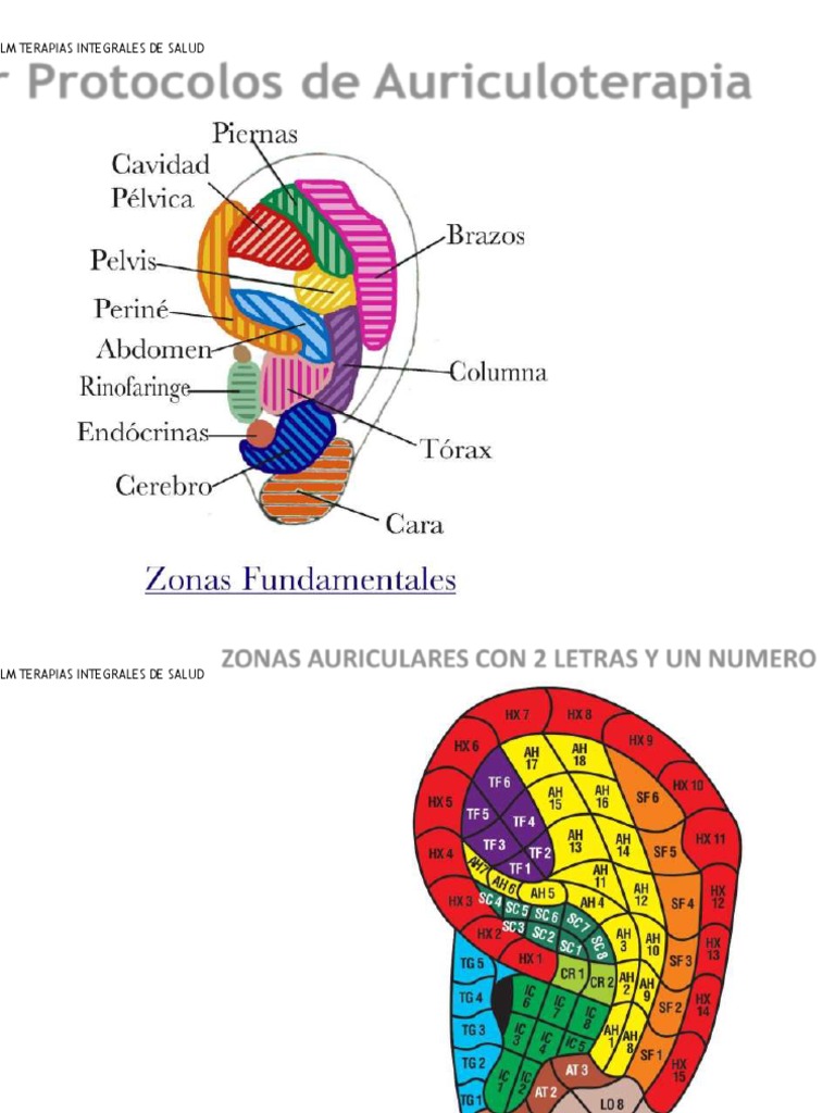acupuntura-y-auriculoterapia-para-bruxismo-pdf-medicina-clinica