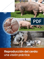 Reproduccion Cerdo