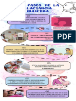 10 Pasos de La Lactancia Materna