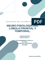 Neurofisiología Del Lóbulo Frontal y Temporal.