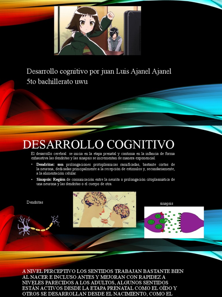 Desarrollo Cognitivo PDF