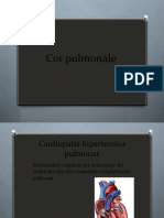 Cor Pulmonale e Hipertensiòn Pulmonar