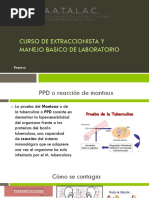 Manual de Prueba Tuberculínica PPD | PDF | Tuberculosis ...