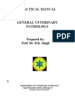 VPP Practical Manual Paper-I