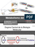 C3-Metabolismo Del ADN