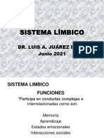 Sistema Limbico Junio 2021