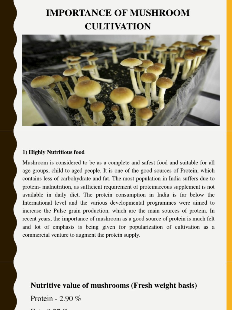 Importance of Mushroom PDF Mushroom Proteins