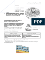 Simulacro 2023 1er Cuat