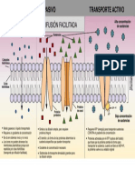 Wikipediacommons665passive Vs Active Membrane Transport-Es - SVG