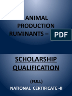 Animal Production (Ruminants) Nc-II