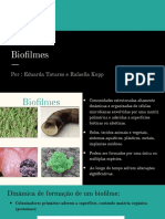 Biofilmes