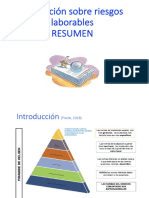 Presentacion-Resumen LegislacionRiesgosTrabajo