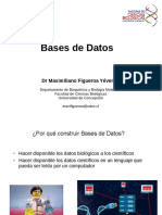Bases_de_datos