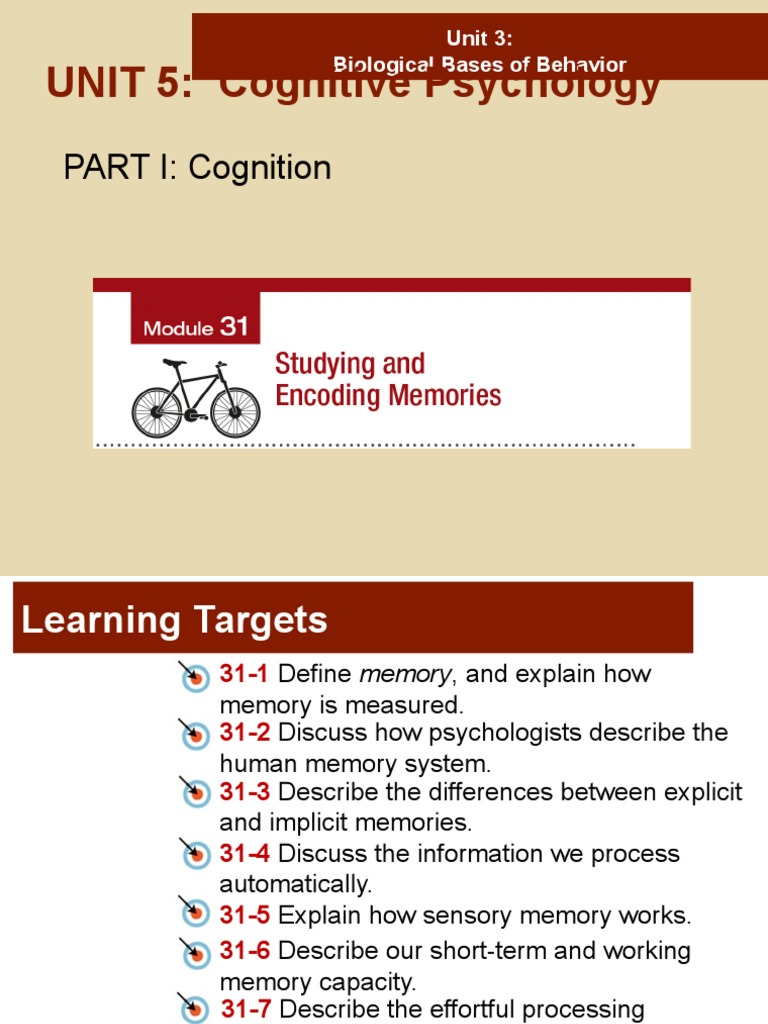 Understanding Memory Processes in Psychology | PDF | Memory | Recall ...