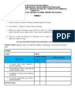 Tarea 1 Lineamientos Mapa Conceptual