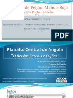 Angola-PlanaltoCentral-Rei Cereais Feijoes-Piloto 2000ha PT (IFC)