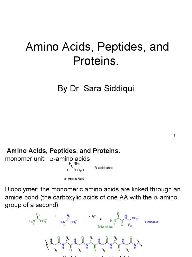 Amino Acid | PDF | Amino Acid | Proteins