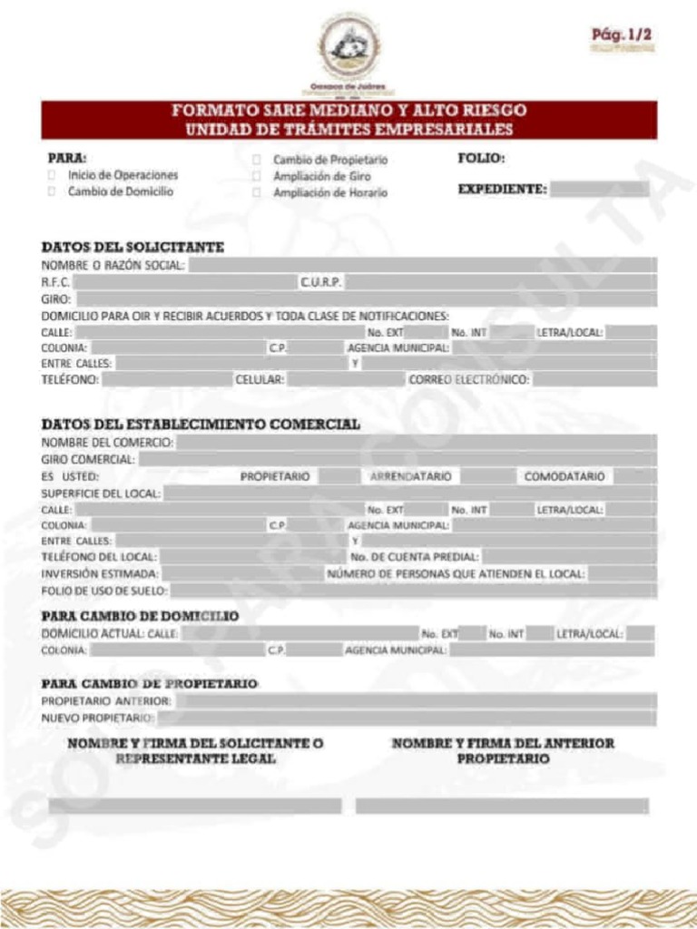 Formato SARE Mediano y Alto Riesgo | PDF