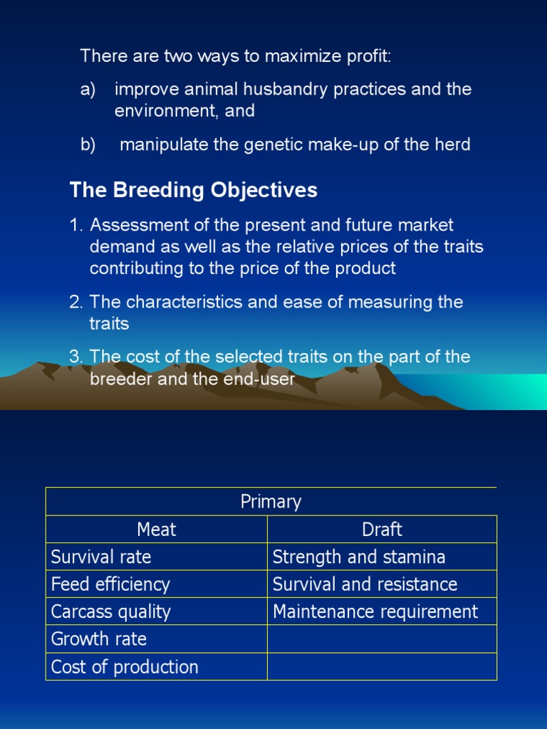 Breeding Breakthrough Get Your Comprehensive Guide To Mature Male Swine Insights And Informationnow - z358wqg