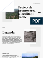 Proiect de Promovare A Localității Natale