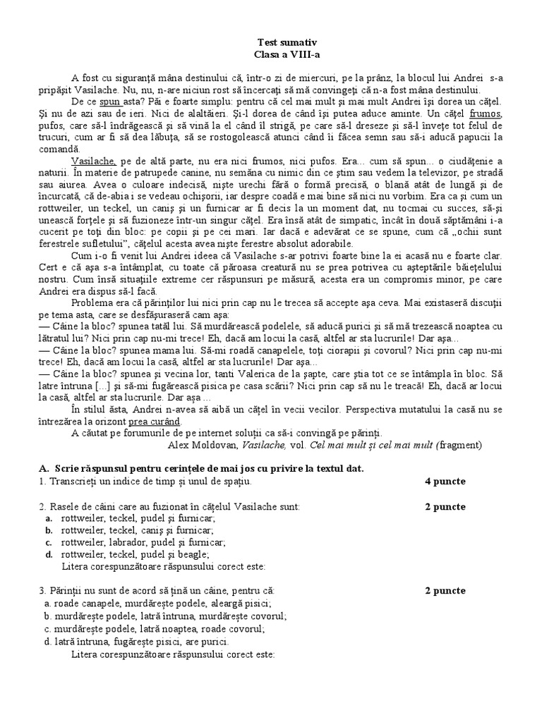 26 Test Sumativ VIII | PDF