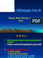 3. Morfologi Phn