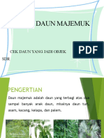 Daun-Majemuk