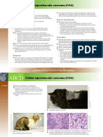 Feline Injection-Site Sarcoma (FISS)