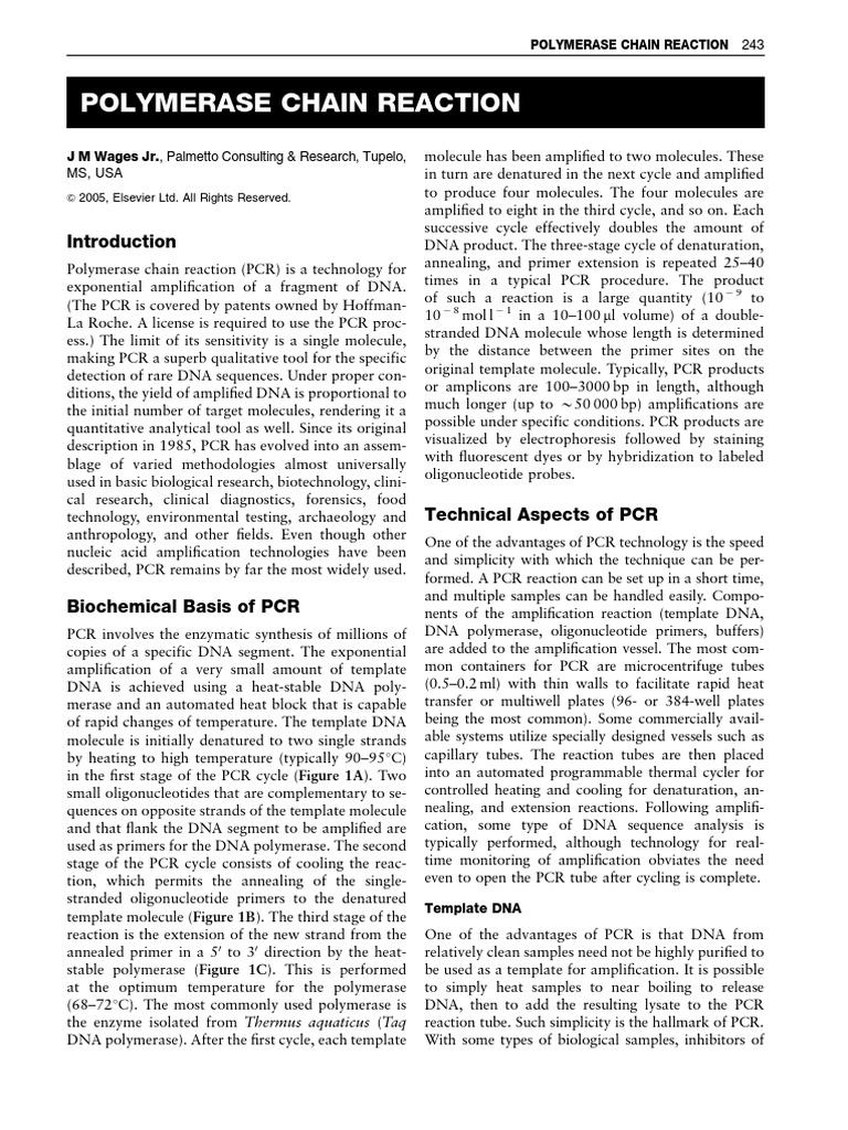 Understanding Polymerase Chain Reaction | PDF | Polymerase Chain ...