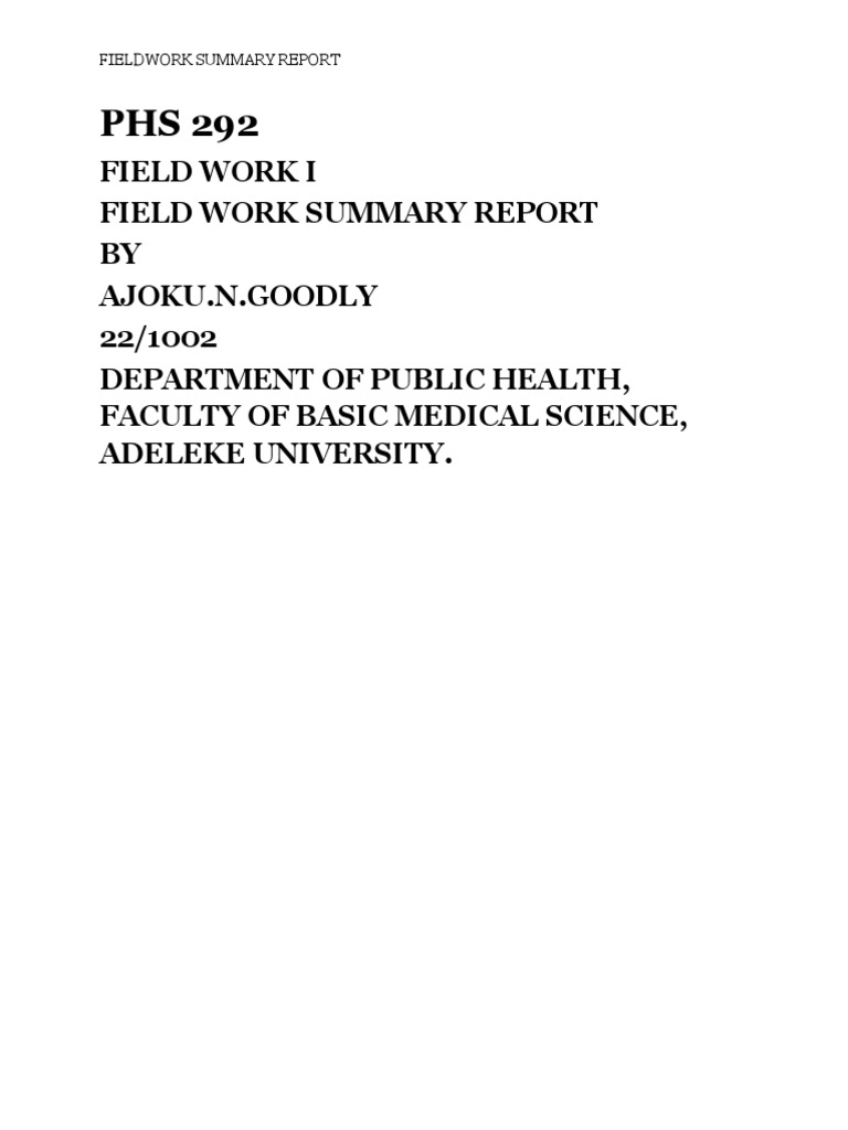 Fieldwork Report PDF