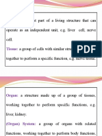 Topic 2 Control and Coordination