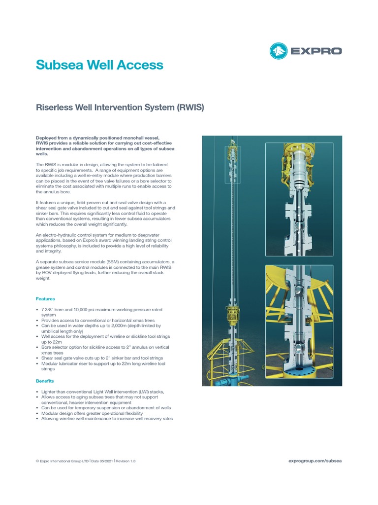 Subsea Well Access RWIS | PDF | Chemical Engineering | Manufactured Goods