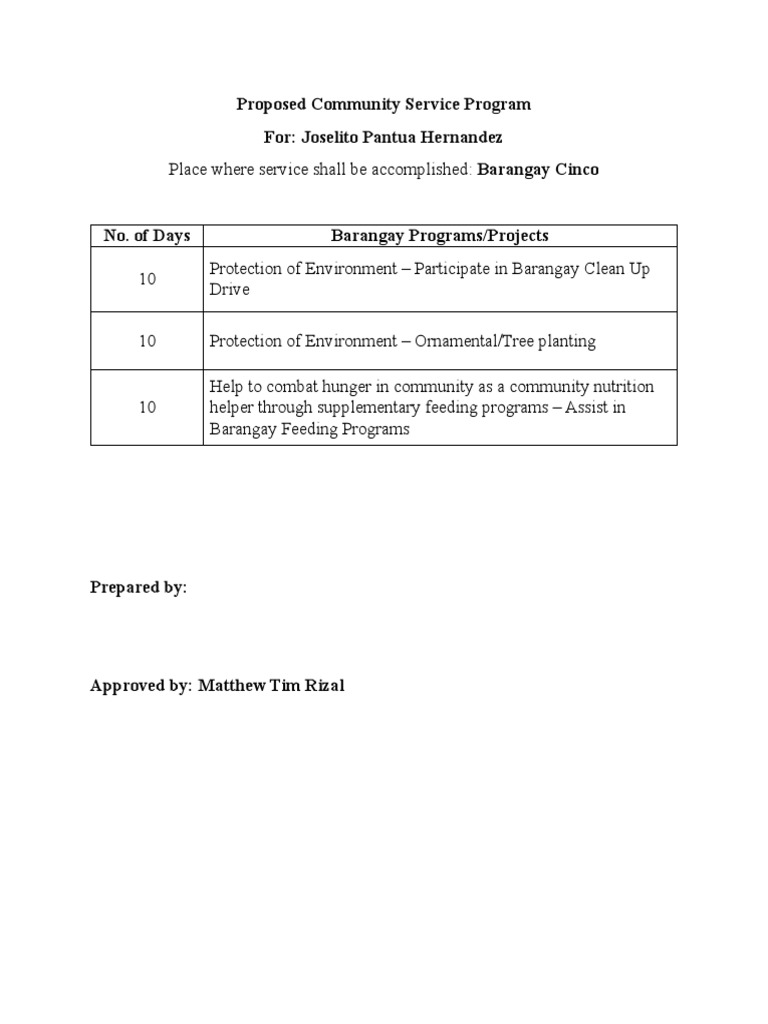 Community Service Program Proposal | PDF