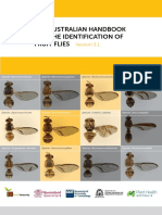 The Australian Handbook For The Identification of Fruit Flies v3.1