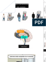 Trabajo Disociación Compleja PDF