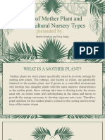 Role of Mother Plant and Horticultural Nursery Types