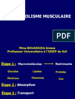 PP PDF Le Métabolisme Mastère