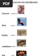 Download science vertebrados e invertebrados tema 4 primaria by pili_Aguirre_Rio SN66923421 doc pdf