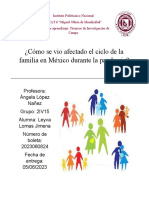 Investigación TIC - Cómo Se Vio A Fectado El Cilco Vital de La Familia en Mexico Durante La Pandemia