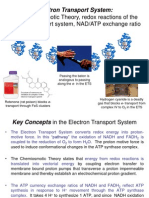 Electron Transport System: Chemiosmotic Theory and Proton Pumping