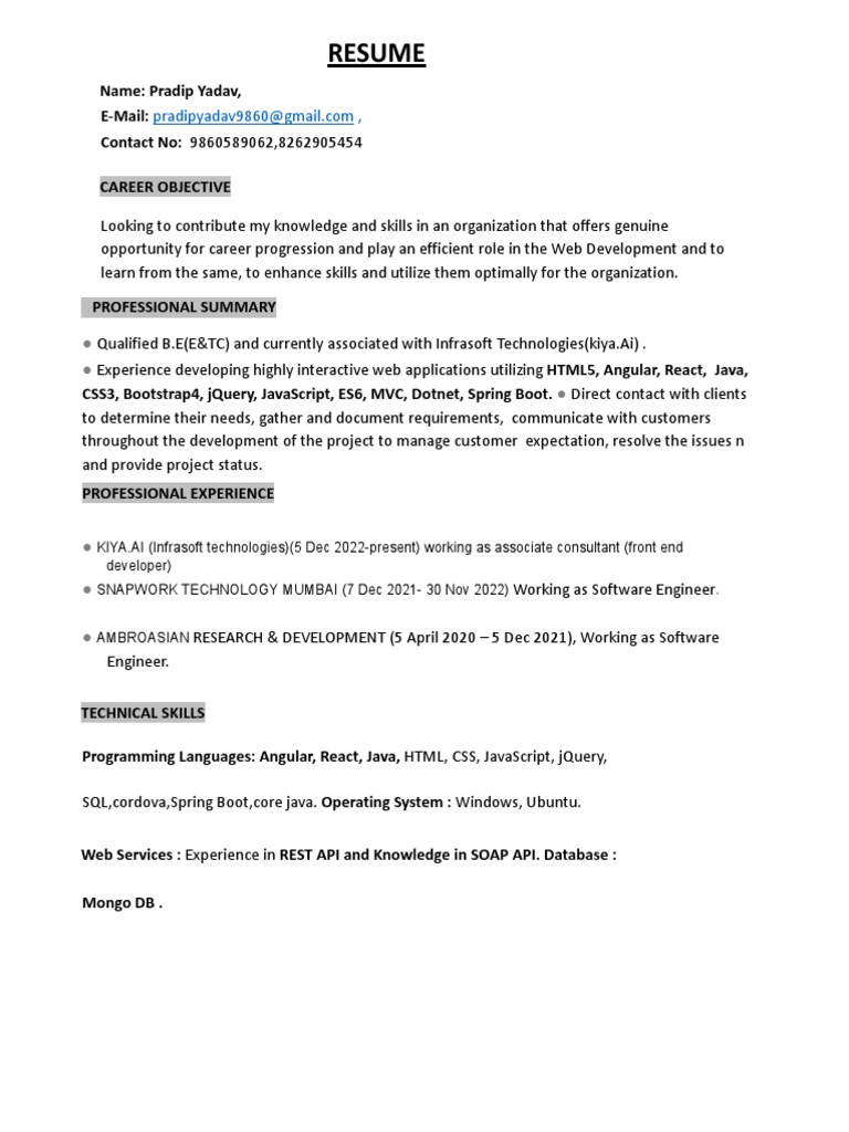Pradip Yadav - Web Developer Resume | PDF | Java Script | Web Application