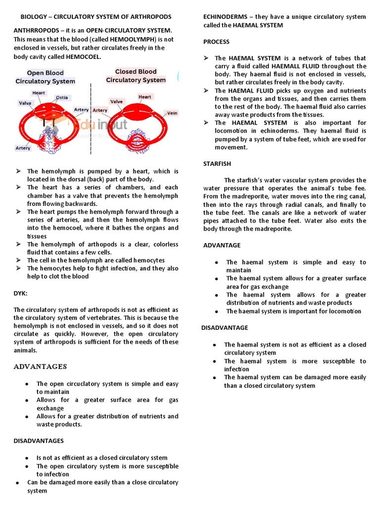 Arthropod and Vertebrate Circulatory Systems | PDF | Heart | Blood Vessel