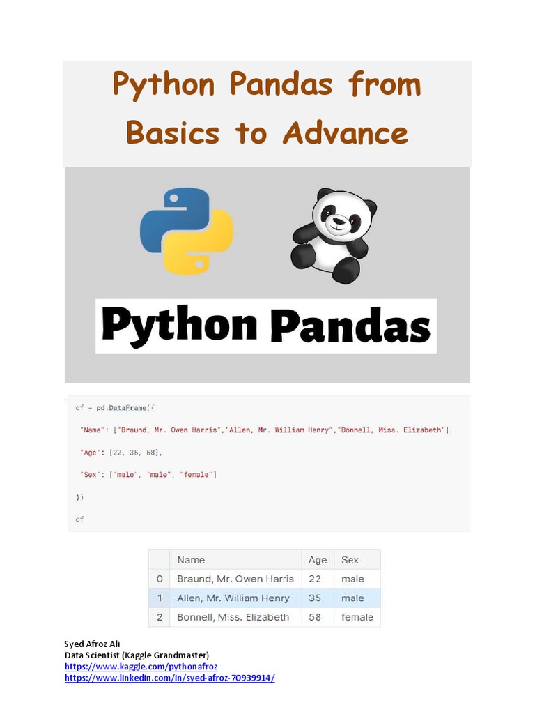 Pandas Form Basic To Advanced | PDF