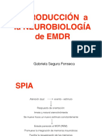 NEUROBIOLOGÍA de EMDR 1