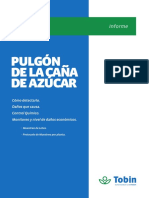 Pulgon de La Cana de Azucar